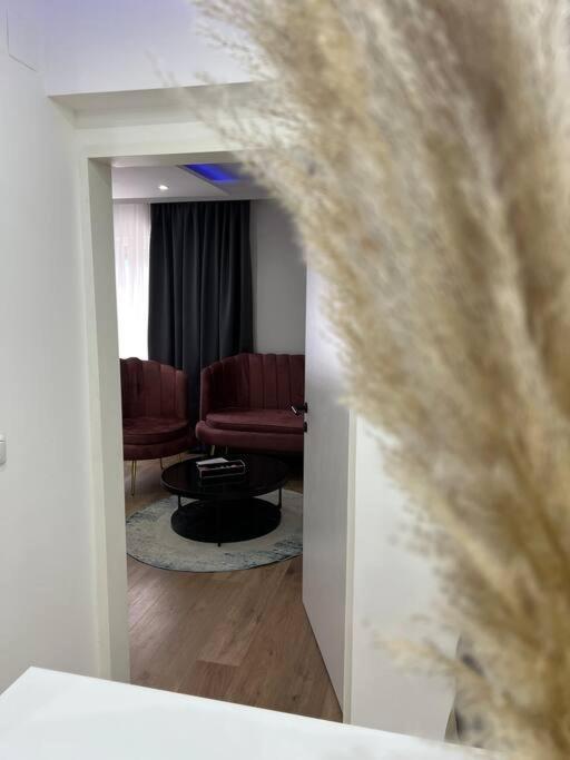 Traum Wohnung Mit Kingsize-Bett Graz Exteriör bild